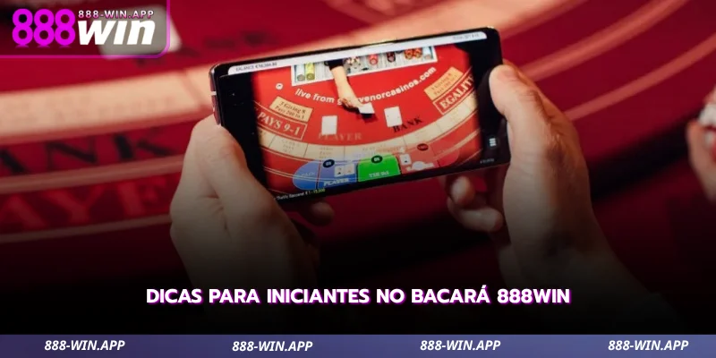 Como Jogar Bacará no 888WIN - Guia para Iniciantes 3 veja orientações úteis para iniciantes aproveitarem melhor o bacará online